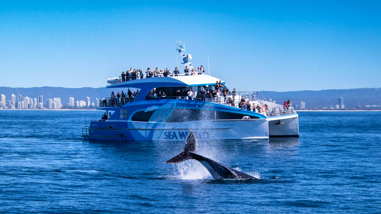 Sea World Whale Watching Cruise Location
