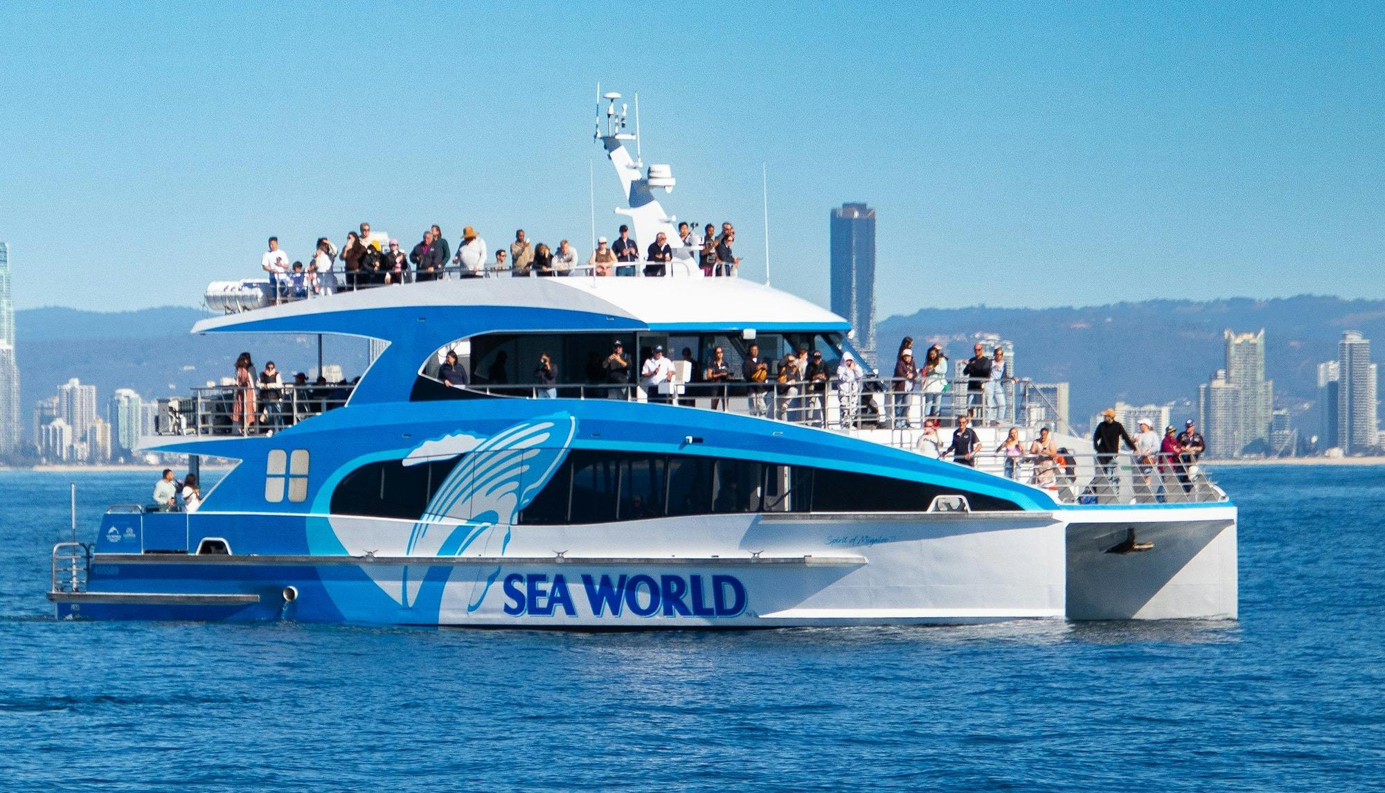 Sea World Whale Watching Cruise