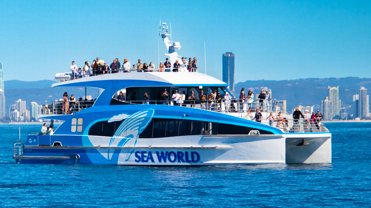 Sea World Whale Watching Cruise