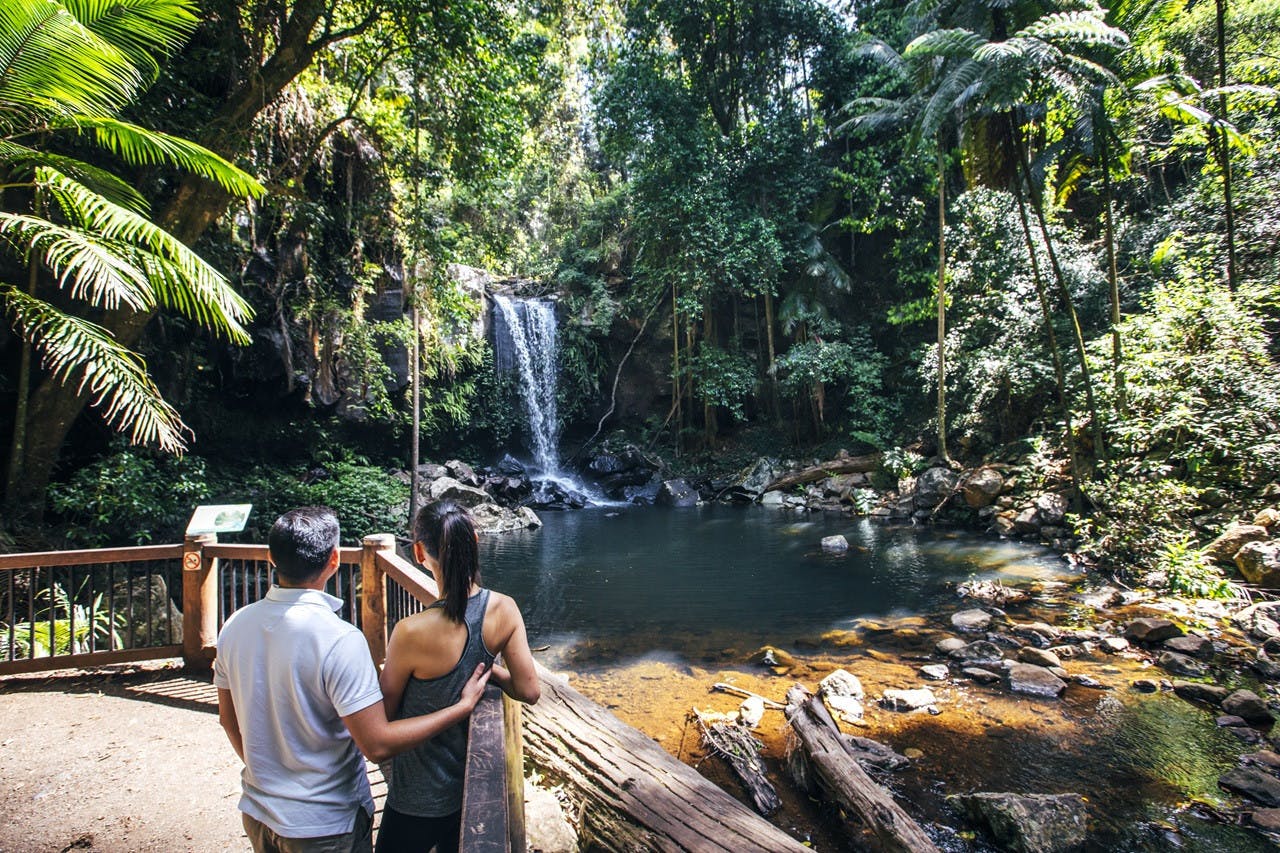 Tamborine Mountain Walk & Wine Tasting Tour Discount