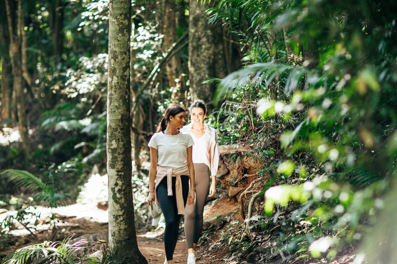Tamborine Mountain Walk & Wine Tasting Tour Review