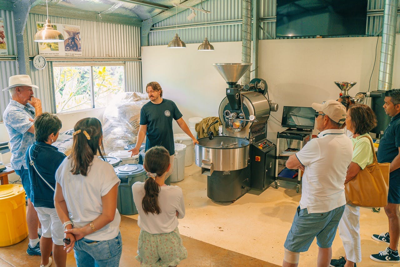 Tamborine Mountain Walk & Wine Tasting Tour 