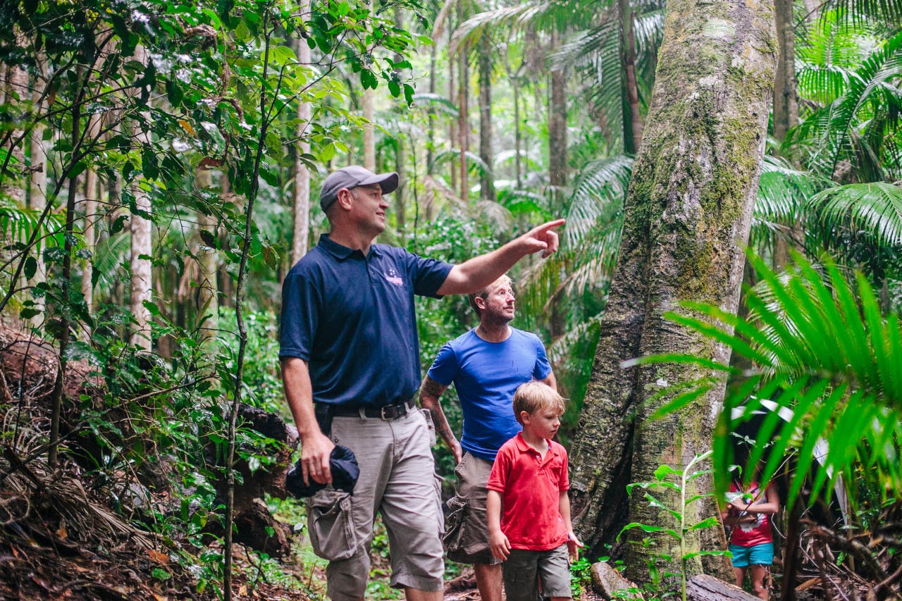 Tamborine Mountain Walk & Wine Tasting Tour Thrillark