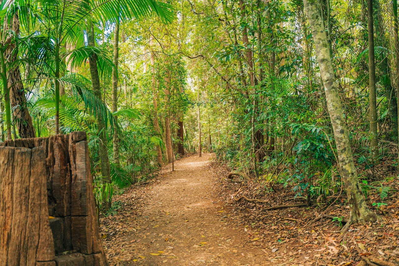 Tamborine Mountain Walk & Wine Tasting Tour Price