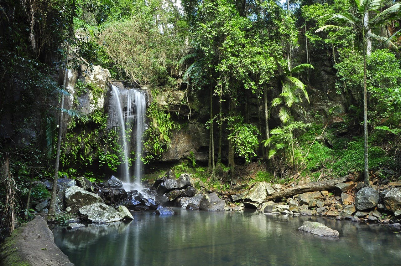 Tamborine Mountain Walk & Wine Tasting Tour