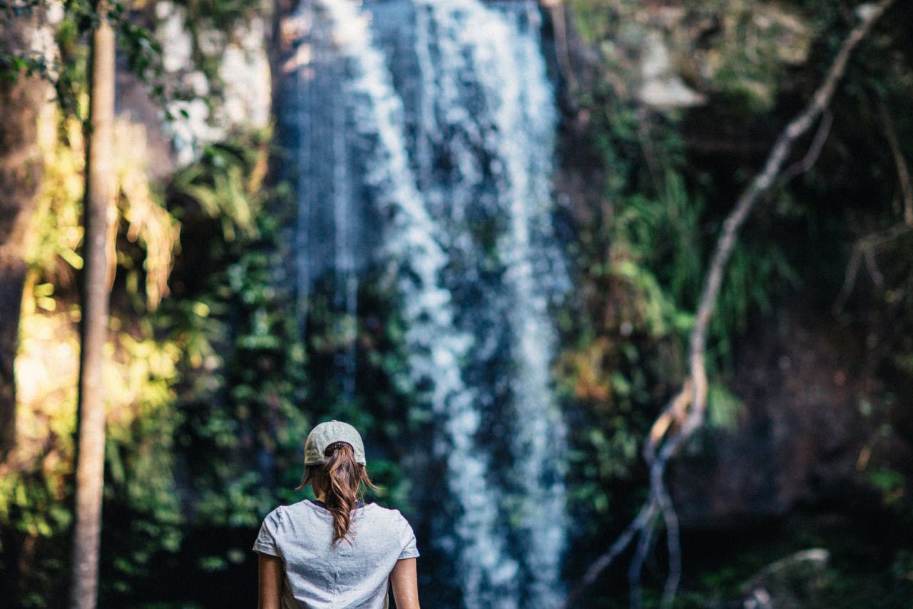 Tamborine Mountain Walk & Wine Tasting Tour Location