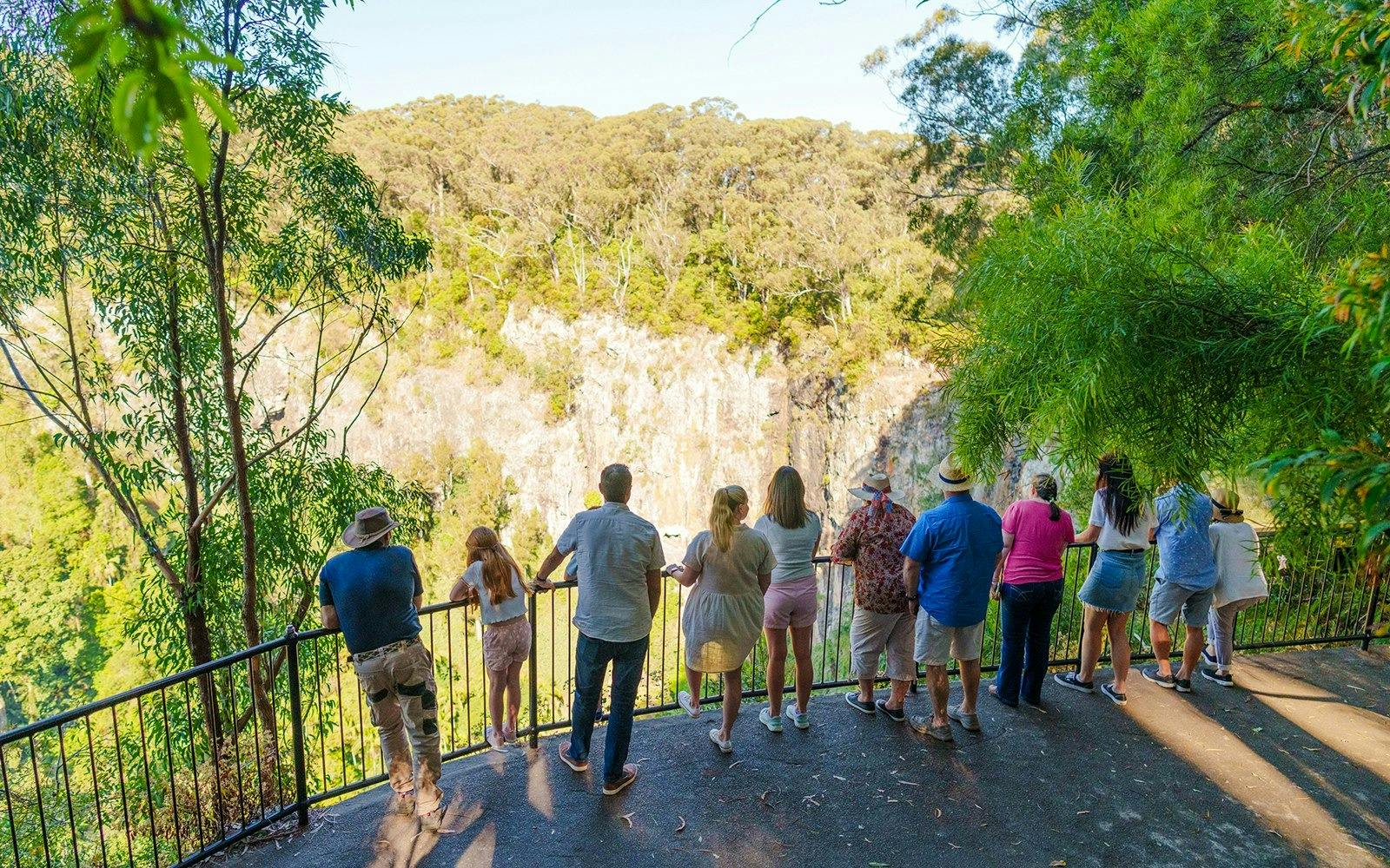 Springbrook National Park Tour Ticket