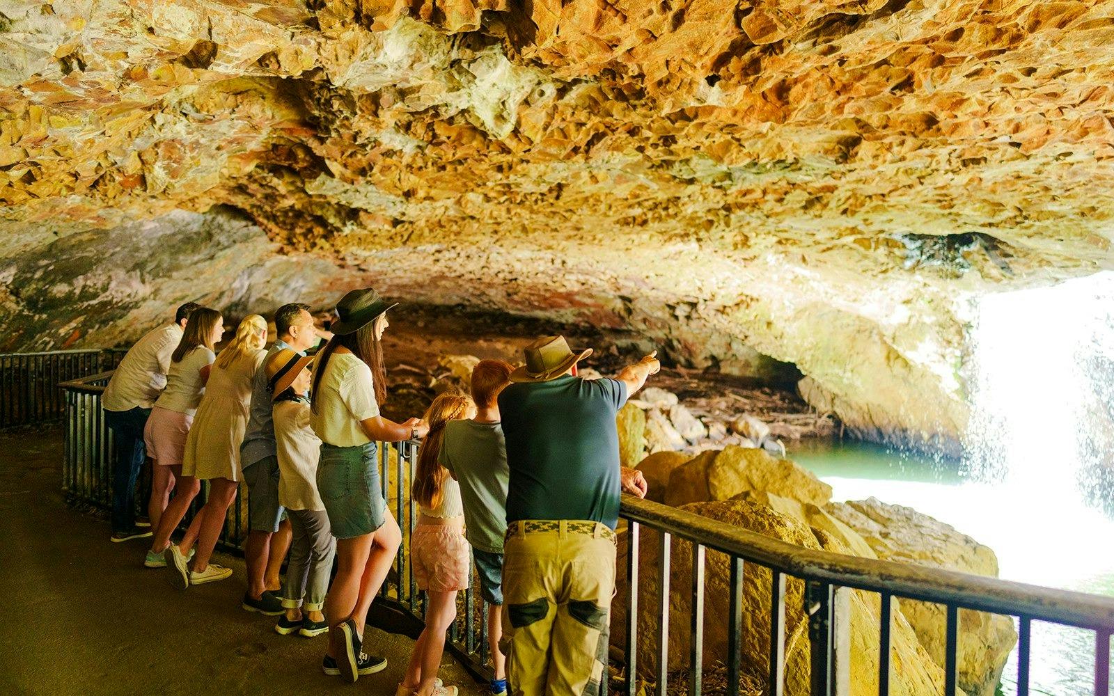 Springbrook National Park Tour Thrillark