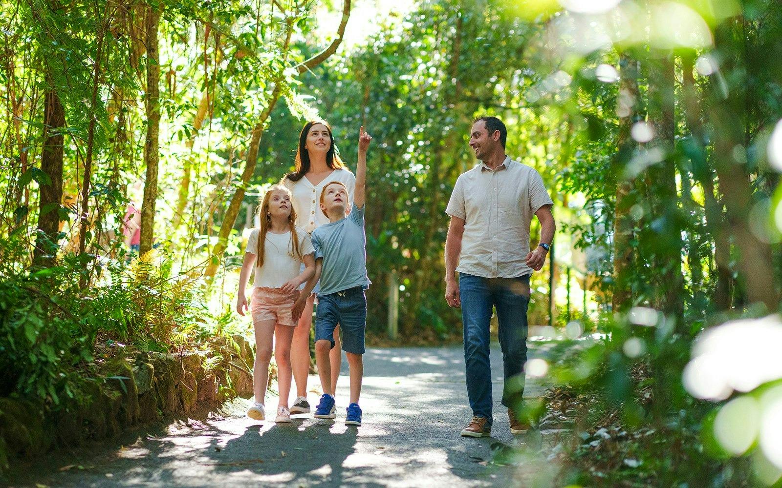 Springbrook National Park Tour Category