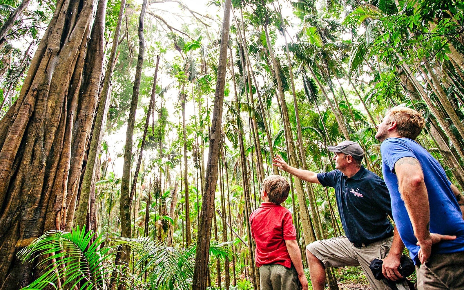 Springbrook National Park Tour Discount