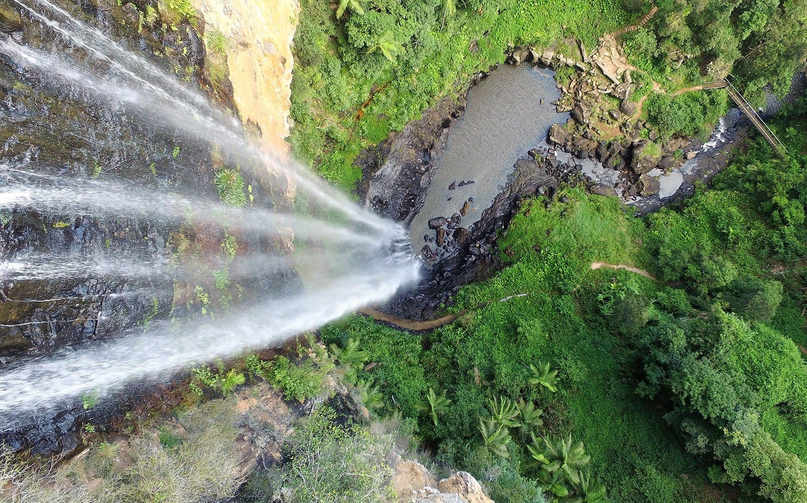 Springbrook National Park Tour Price