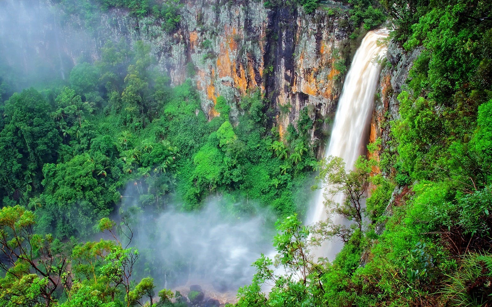 Springbrook National Park Tour Location