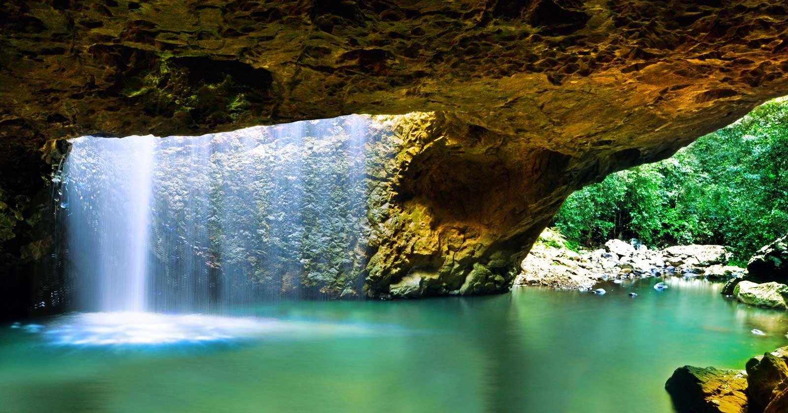 Springbrook National Park Tour 