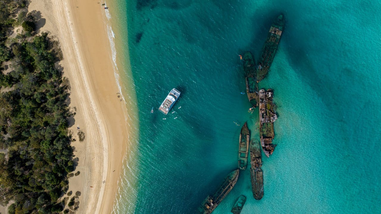 Tangalooma Wrecks & Dolphin Cruise with Transfer