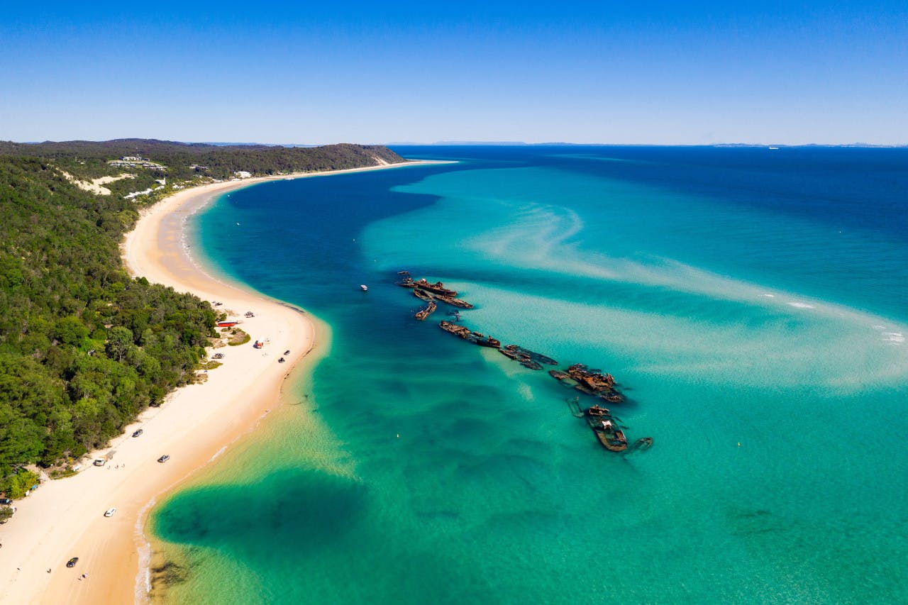 Tangalooma Wrecks & Dolphin Cruise with Transfer 
