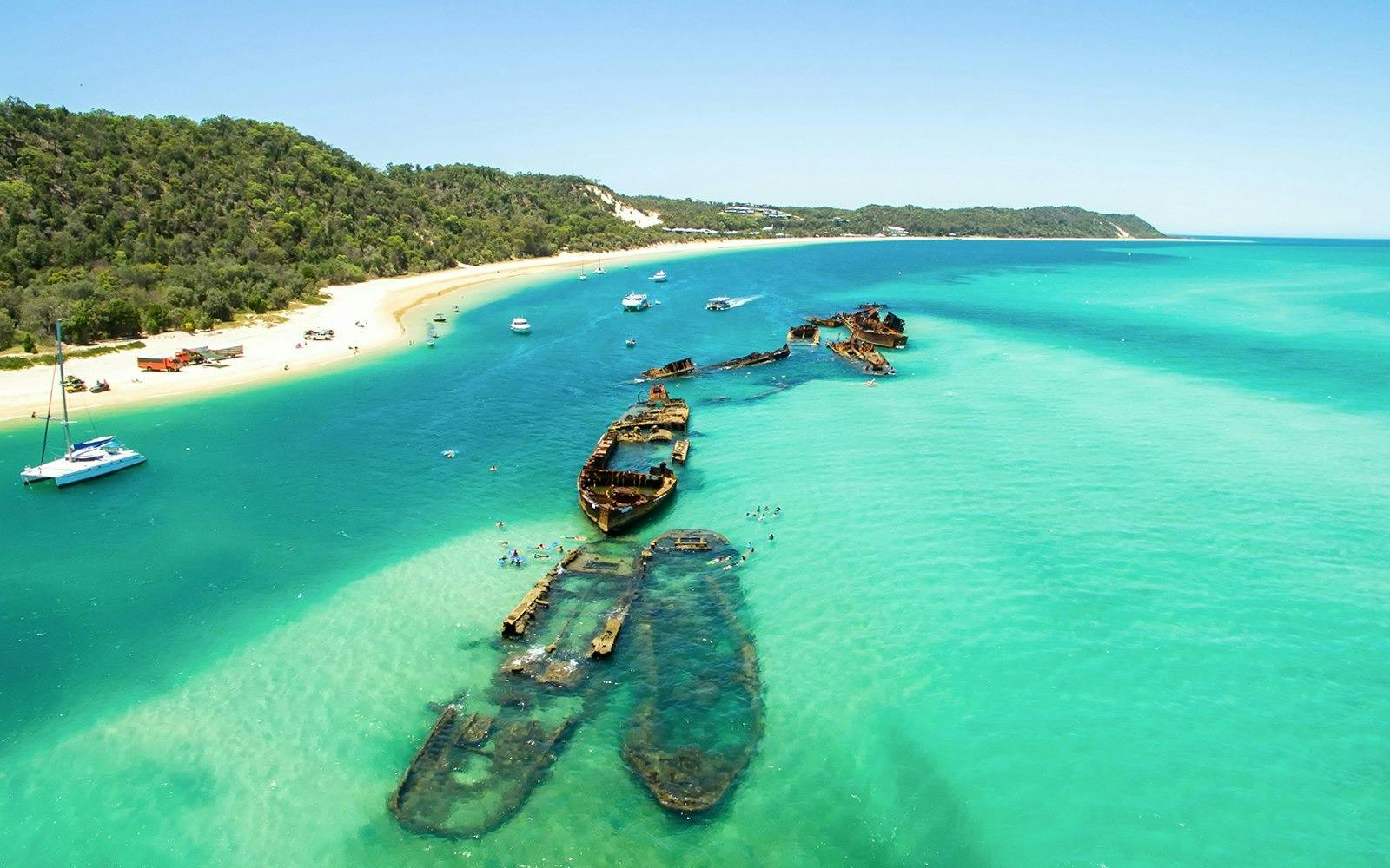 Tangalooma Wrecks & Dolphin Cruise with Transfer 