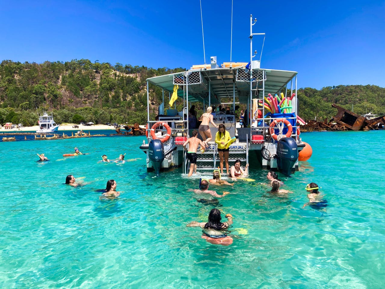 Tangalooma Wrecks & Dolphin Cruise with Transfer Review