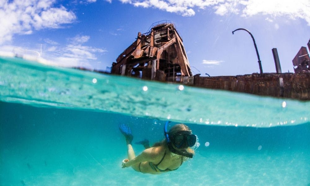 Tangalooma Wrecks & Dolphin Cruise with Transfer 