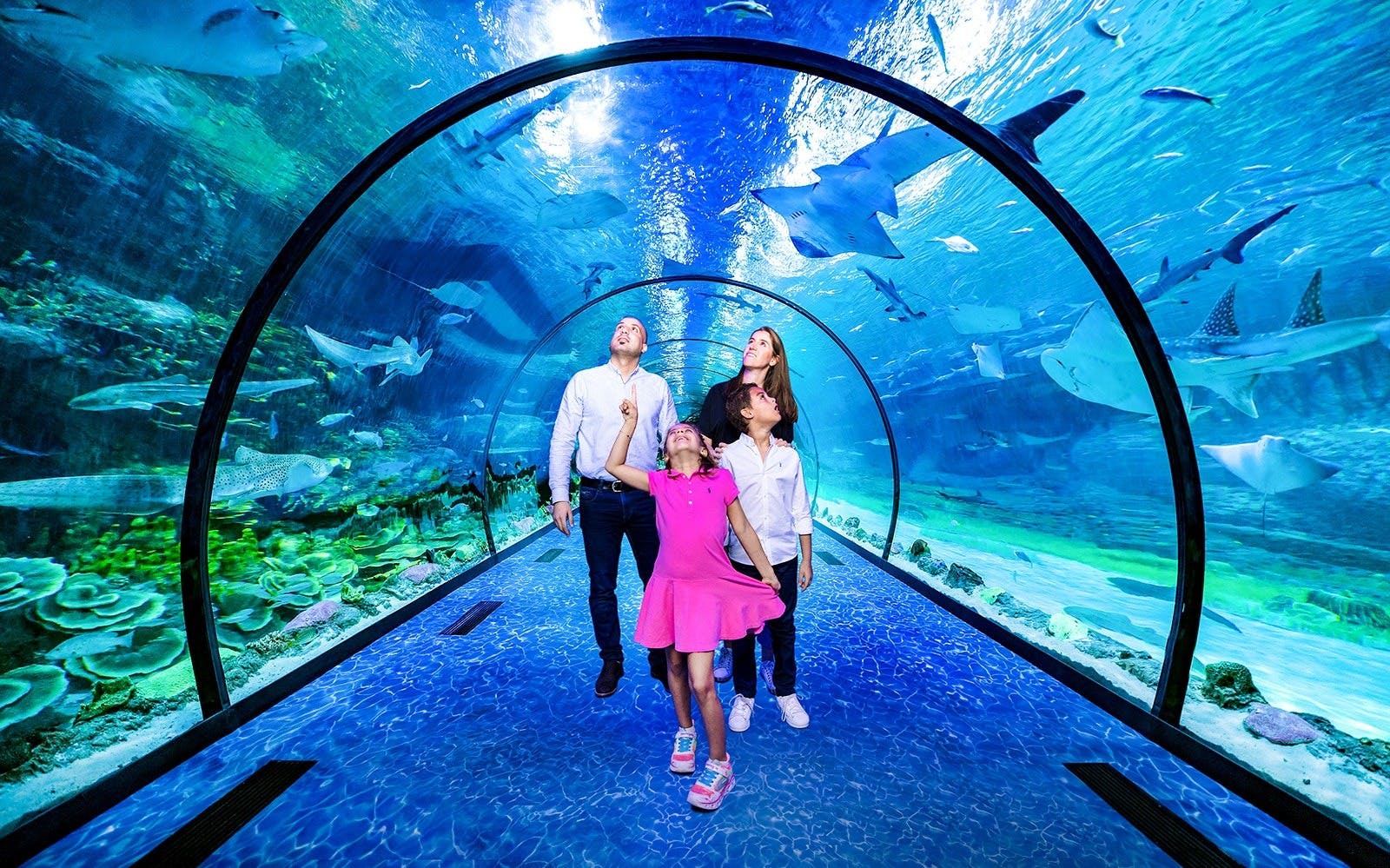 The National Aquarium Abu Dhabi Ticket Discount