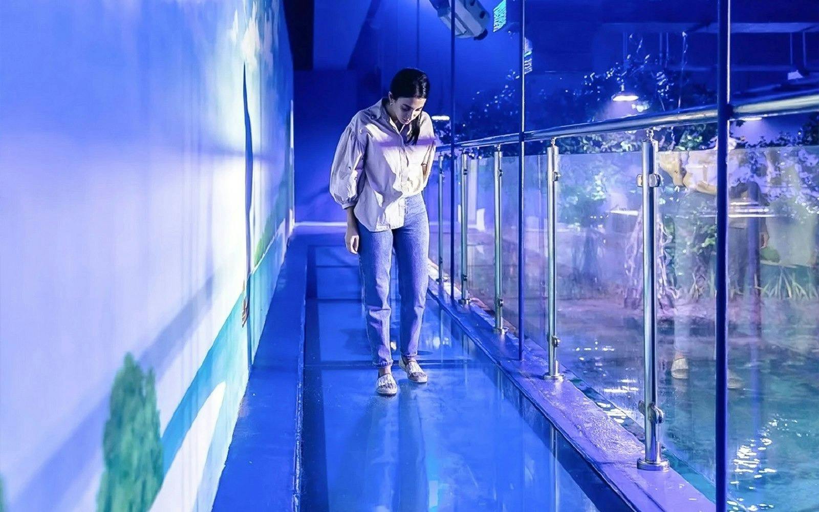 The National Aquarium Abu Dhabi Ticket Thrillark