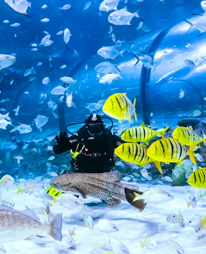 COMBO: The National Aquarium & Butterfly Gardens Abu Dhabi Ticket