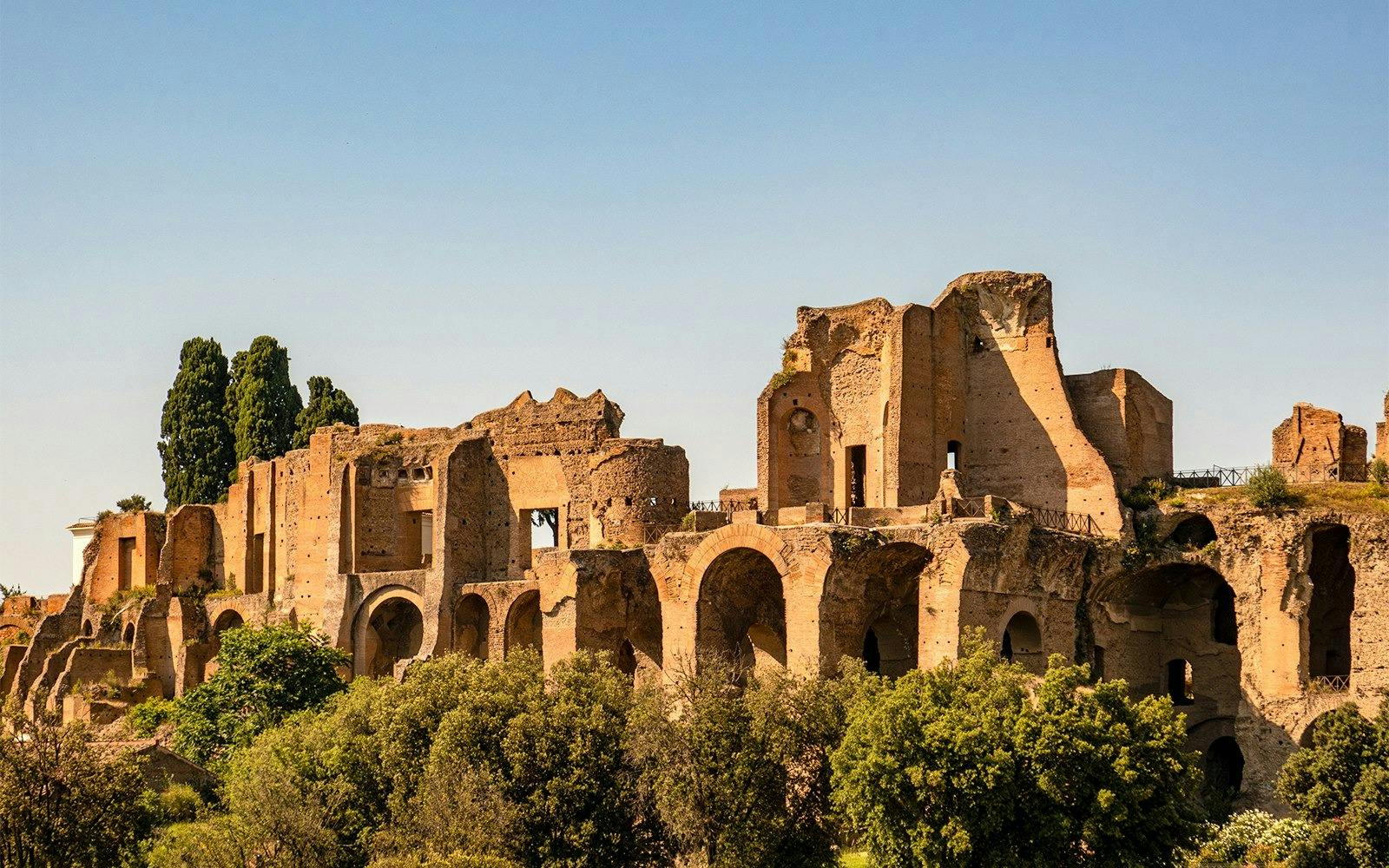 Roman Forum and Palatine Hill with Multimedia Video 