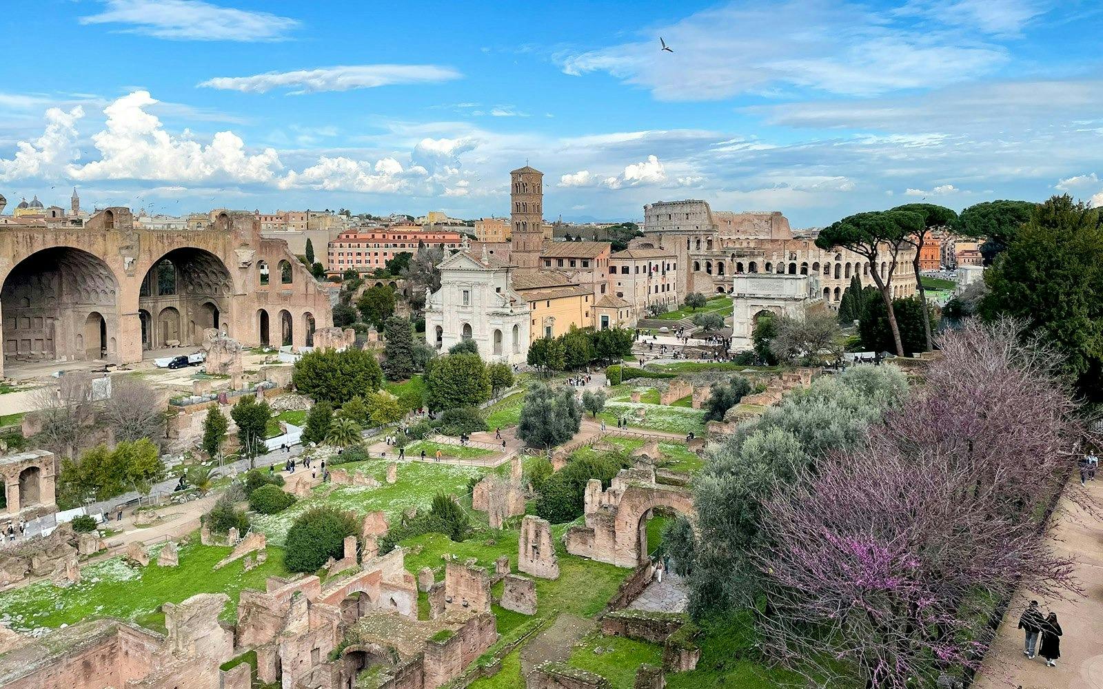 Roman Forum and Palatine Hill with Multimedia Video 