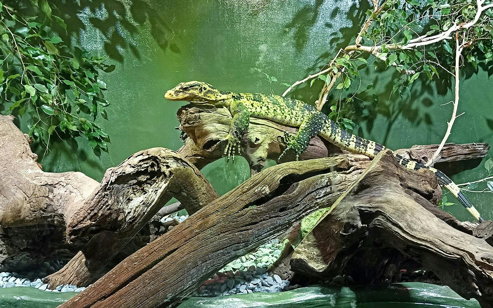 Bioparco Rome Tickets Price
