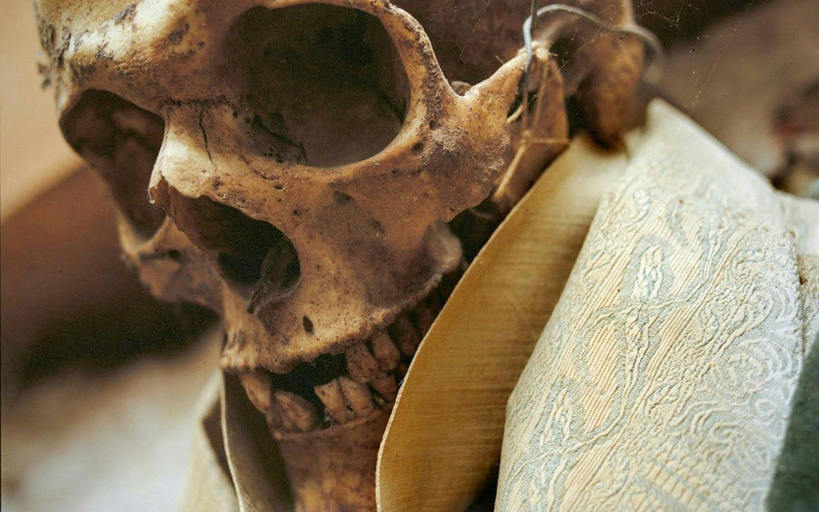 Capuchin Crypt Ticket Category