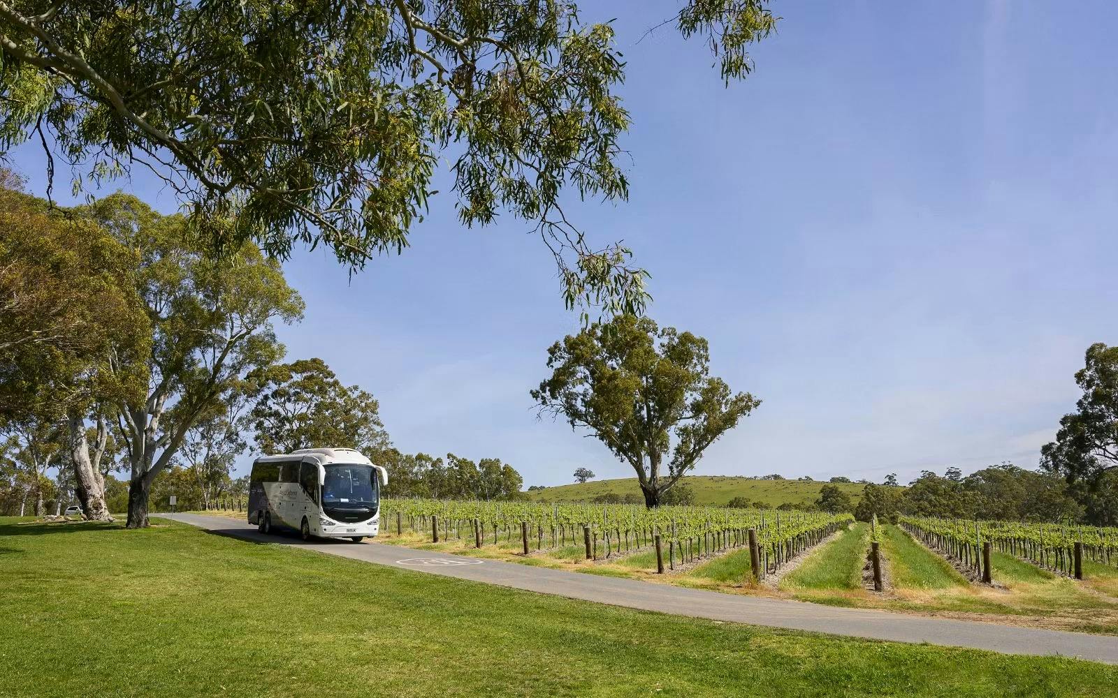 Victor Harbor and Southern Highlights Tour Location
