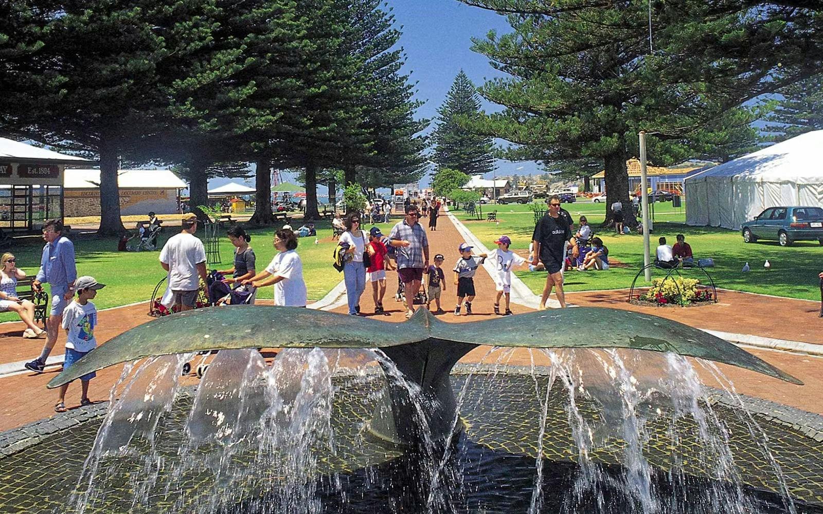 Victor Harbor and Southern Highlights Tour Price
