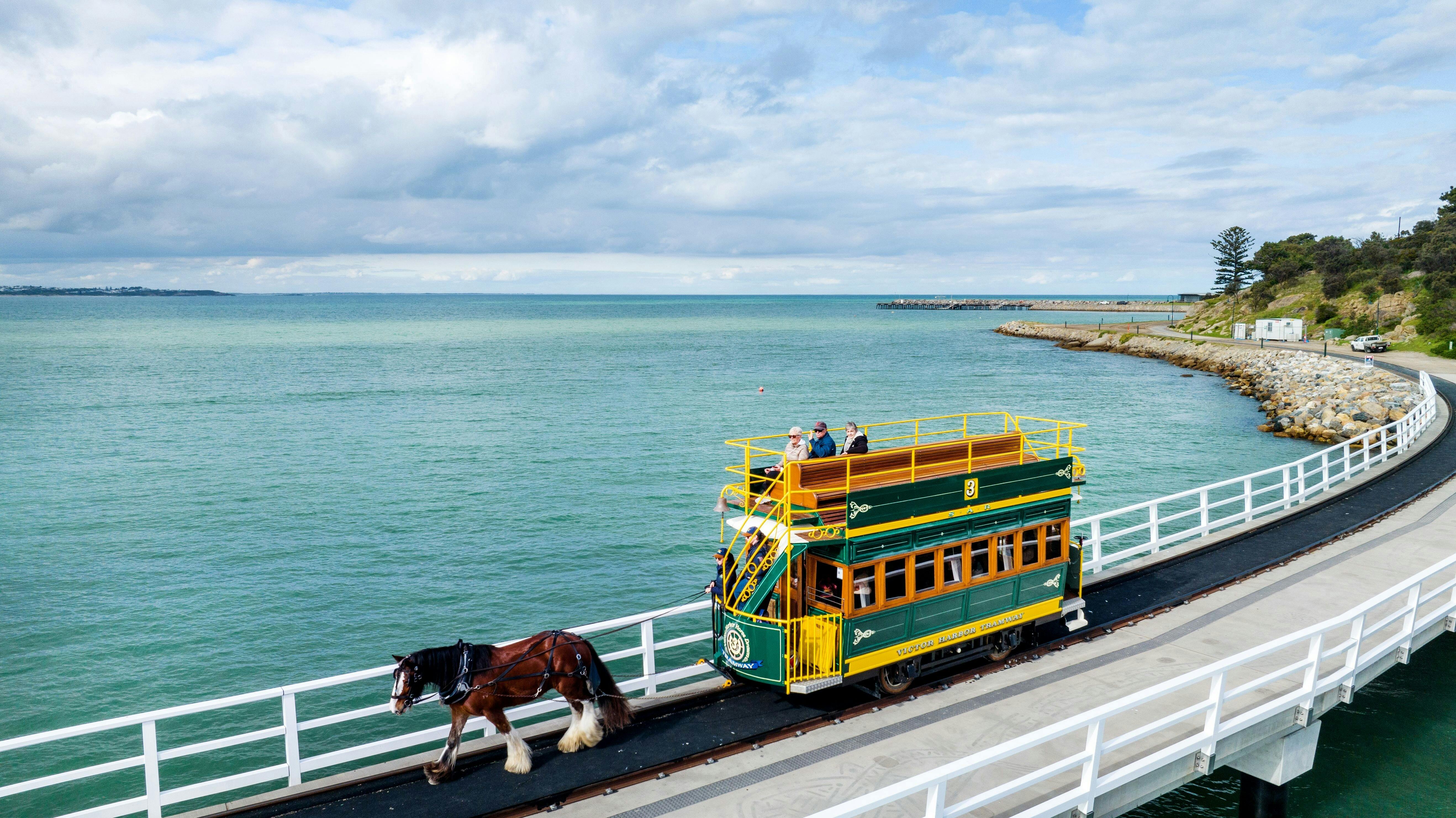 Victor Harbor and Southern Highlights Tour 