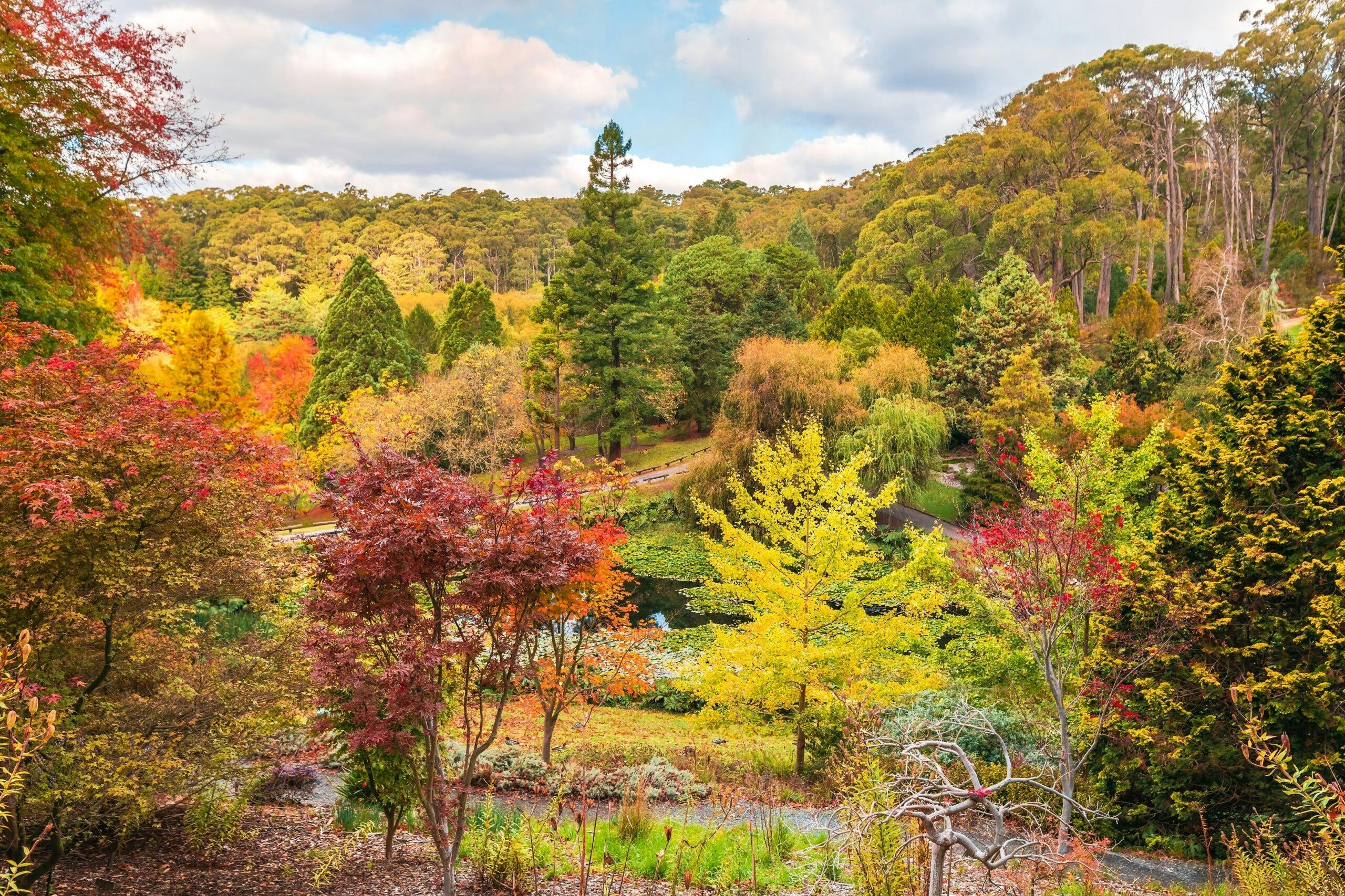Adelaide Hills and Hahndorf Tour Review