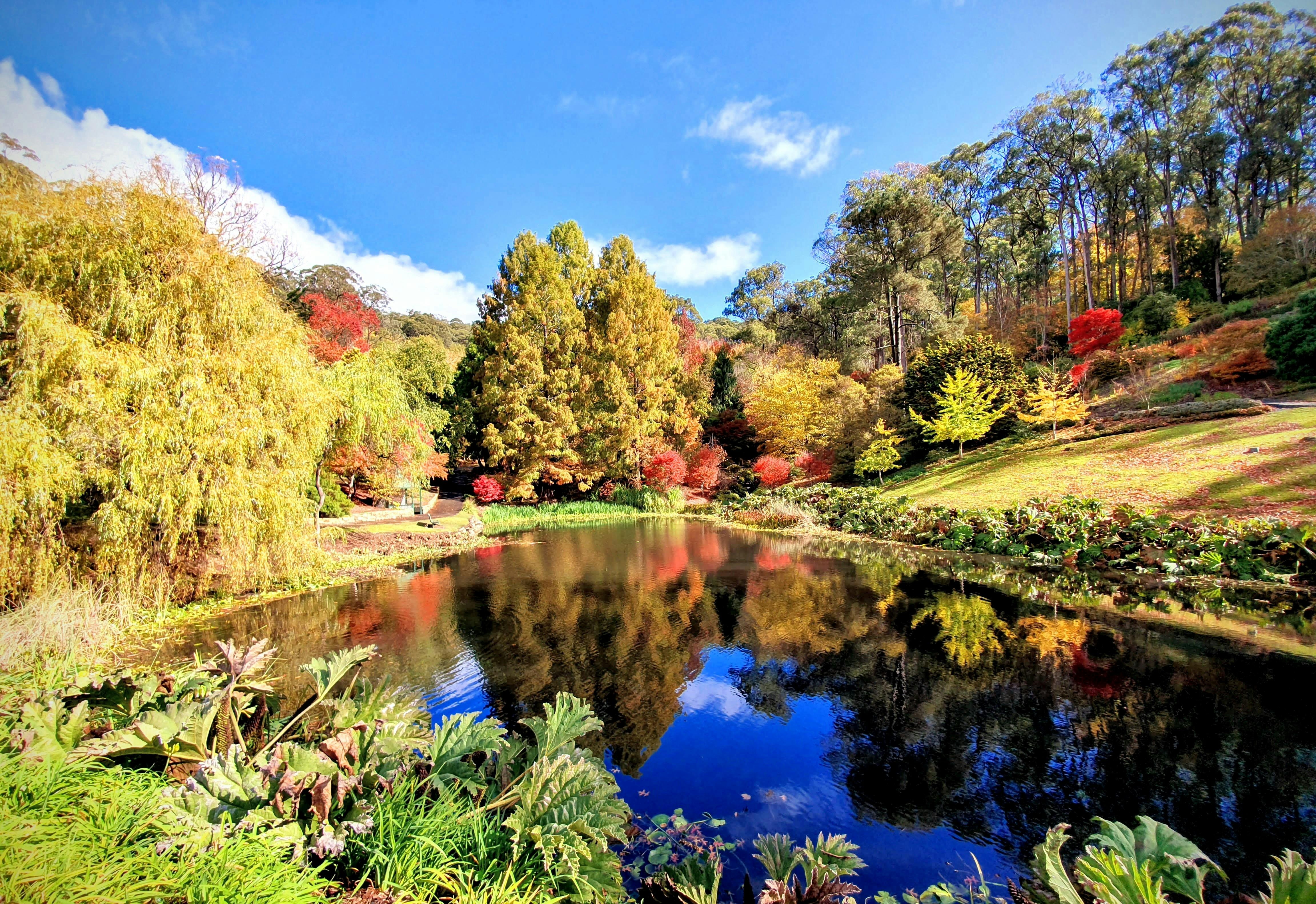 Adelaide Hills and Hahndorf Tour 