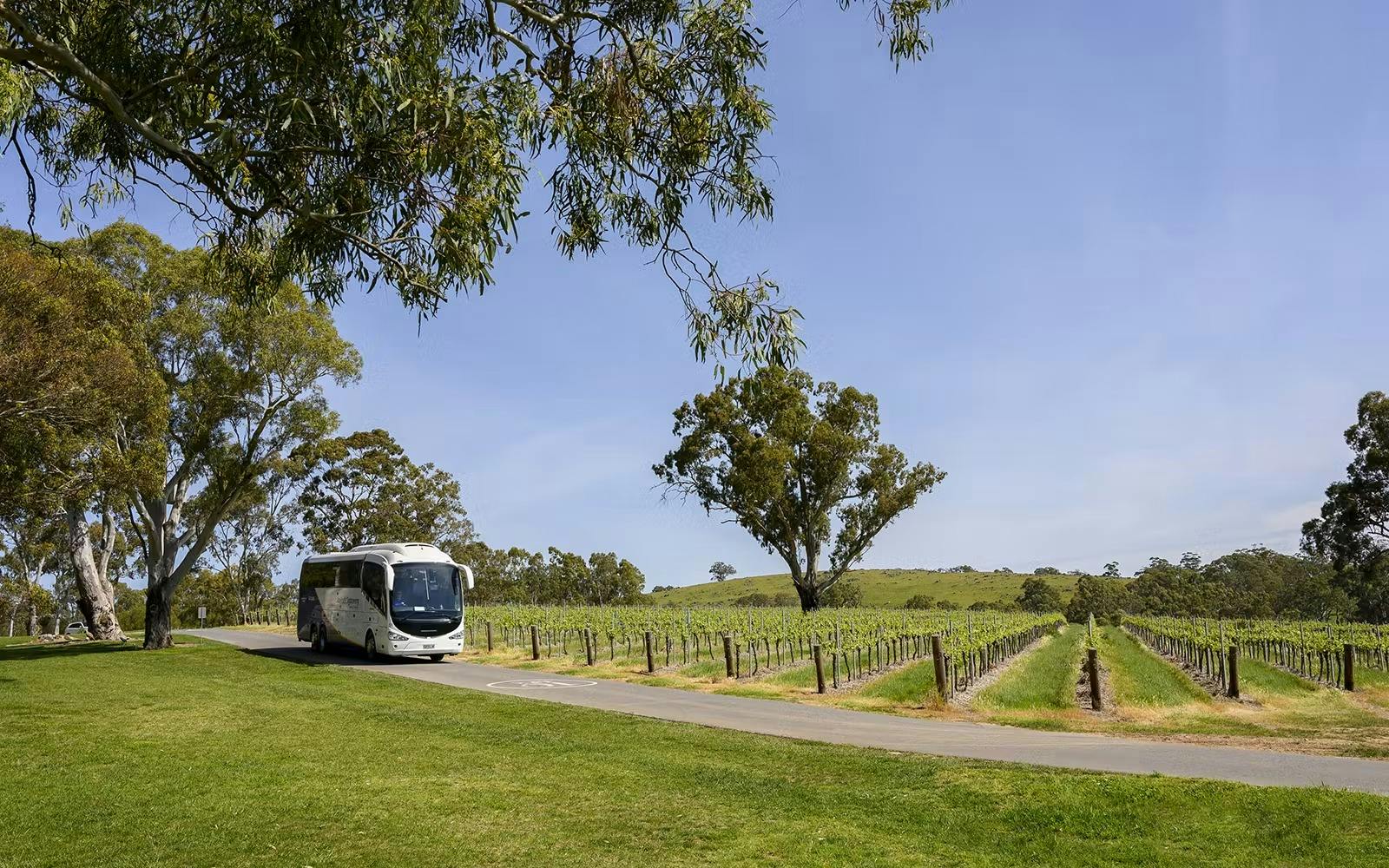 Adelaide Hills and Hahndorf Tour