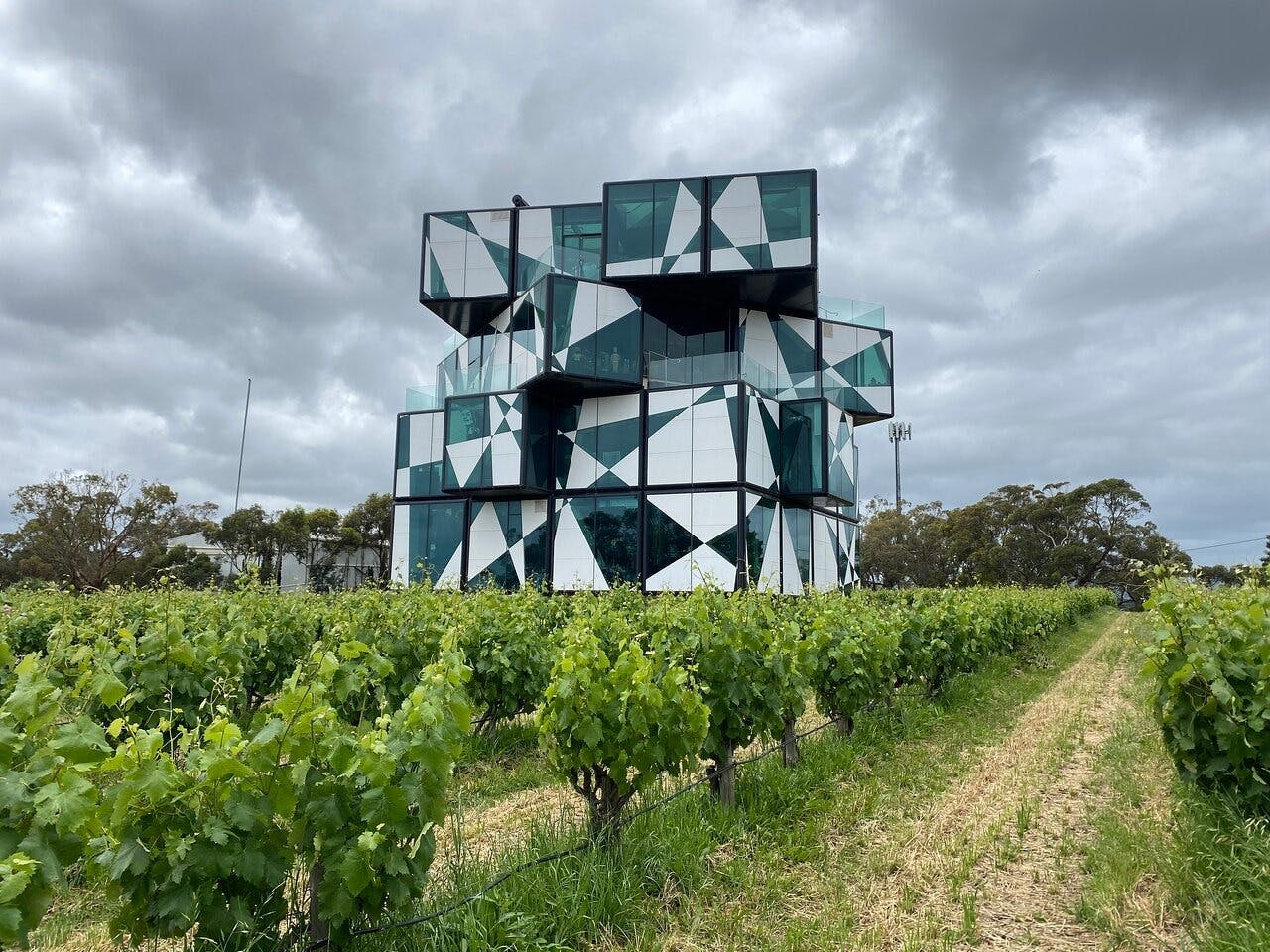 McLaren Vale & The Cube Wine Tasting Tour 
