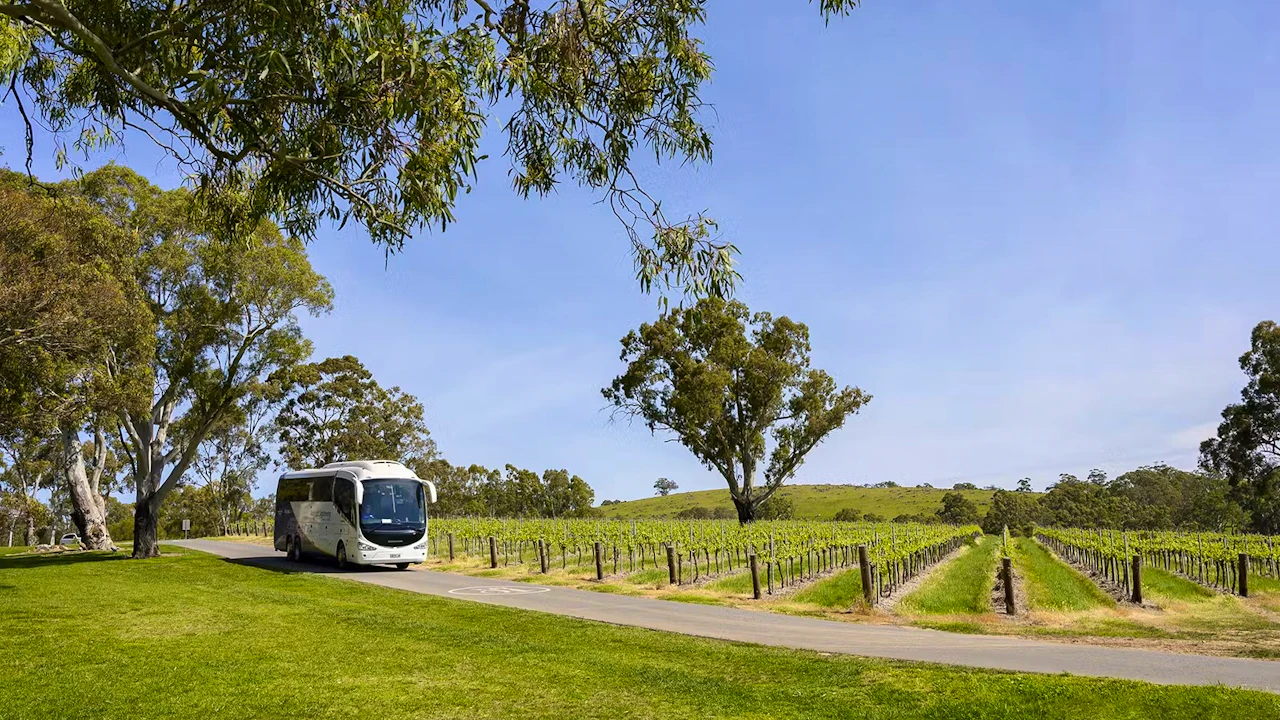 McLaren Vale & The Cube Wine Tasting Tour Price