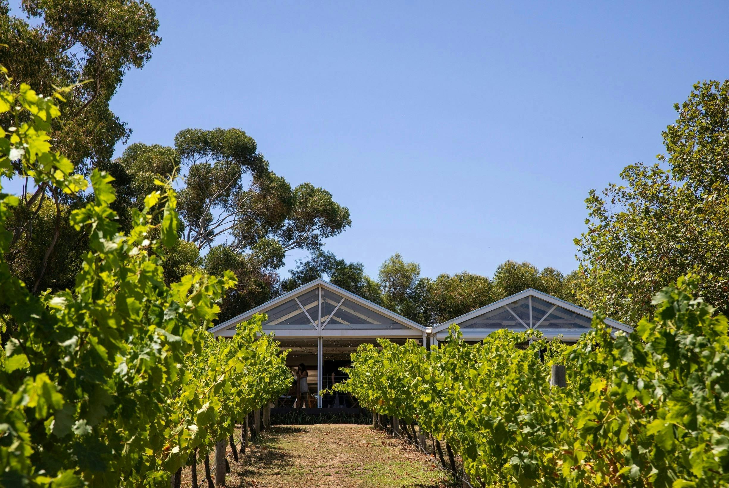 McLaren Vale & The Cube Wine Tasting Tour 