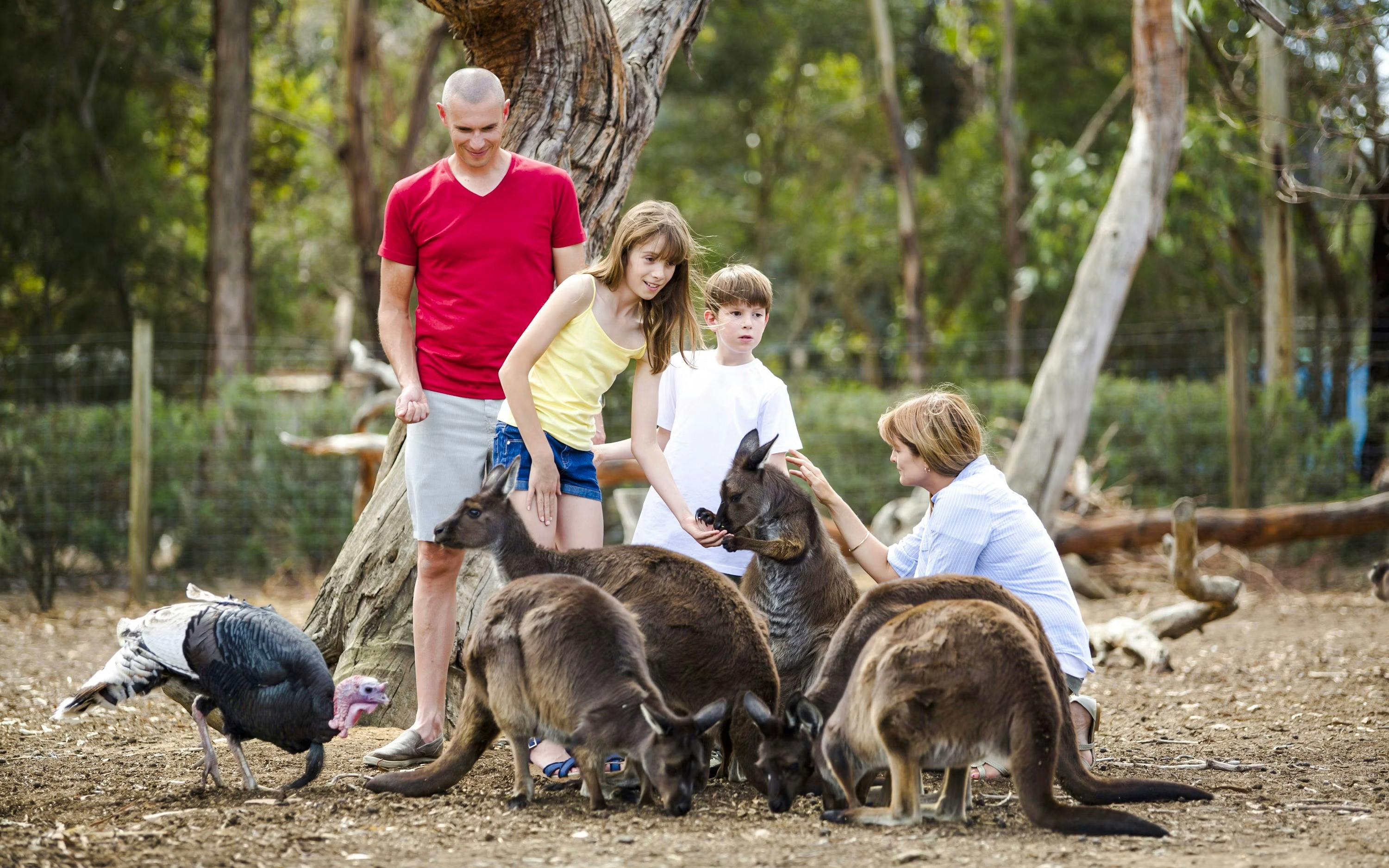 Kangaroo Island Experience Day Tour Discount