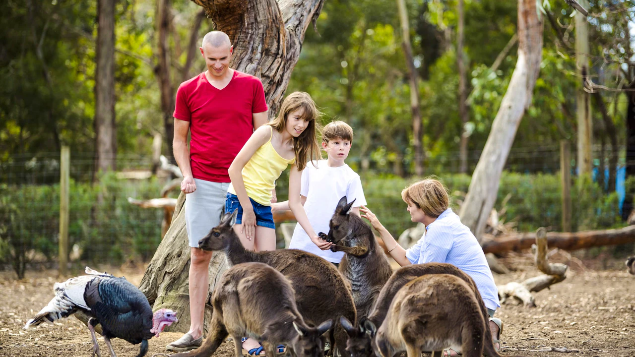 Kangaroo Island Experience Day Tour Discount