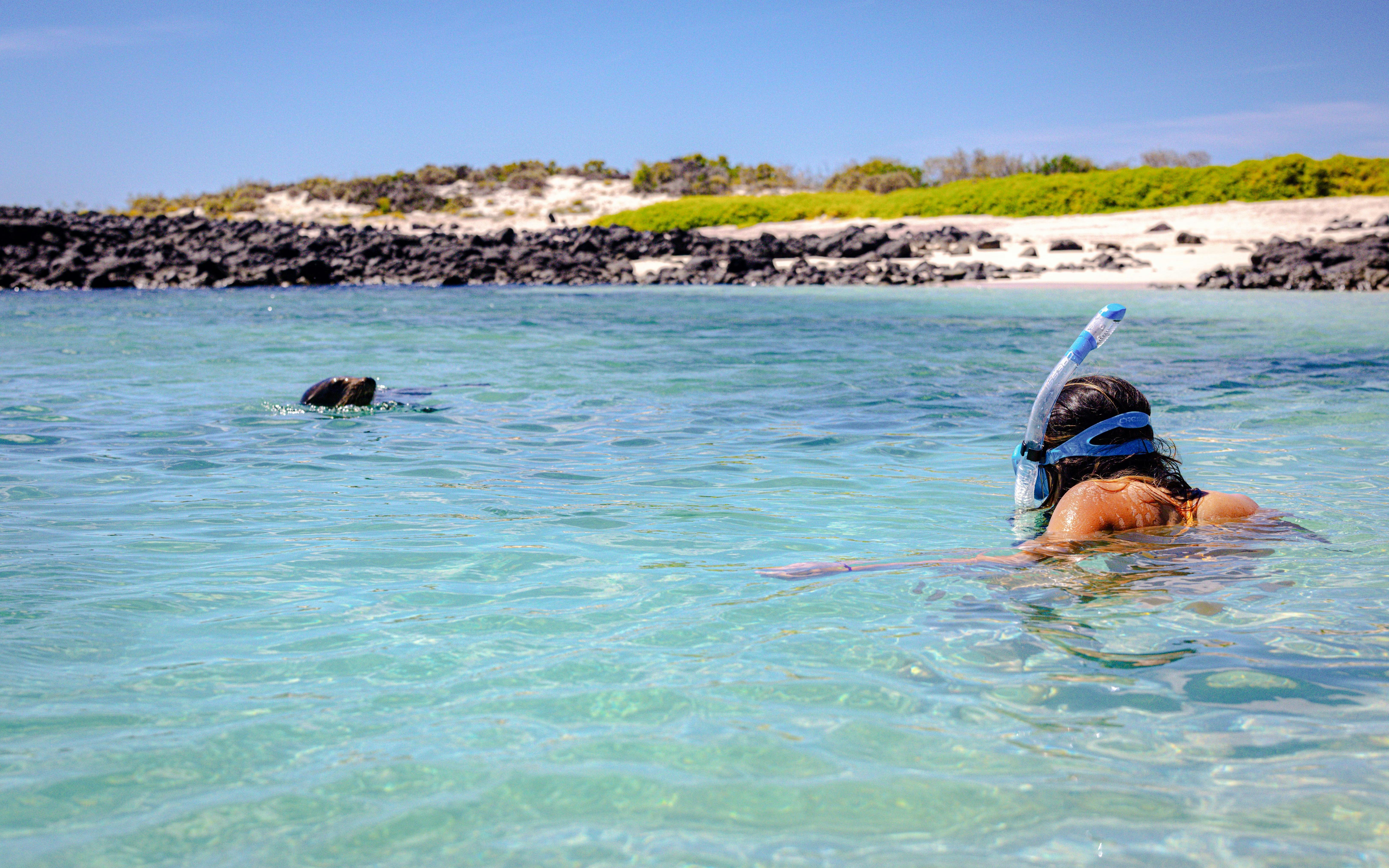 Kangaroo Island Experience Day Tour Review