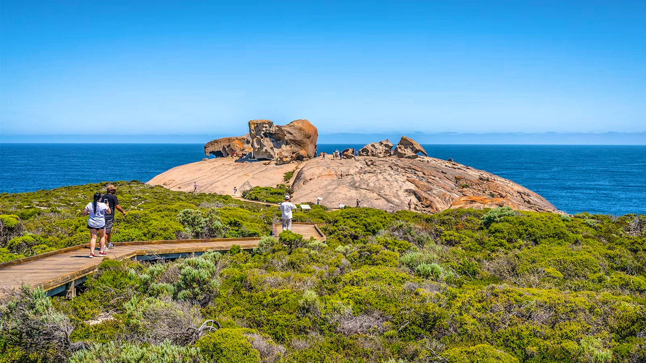 Kangaroo Island Experience Day Tour