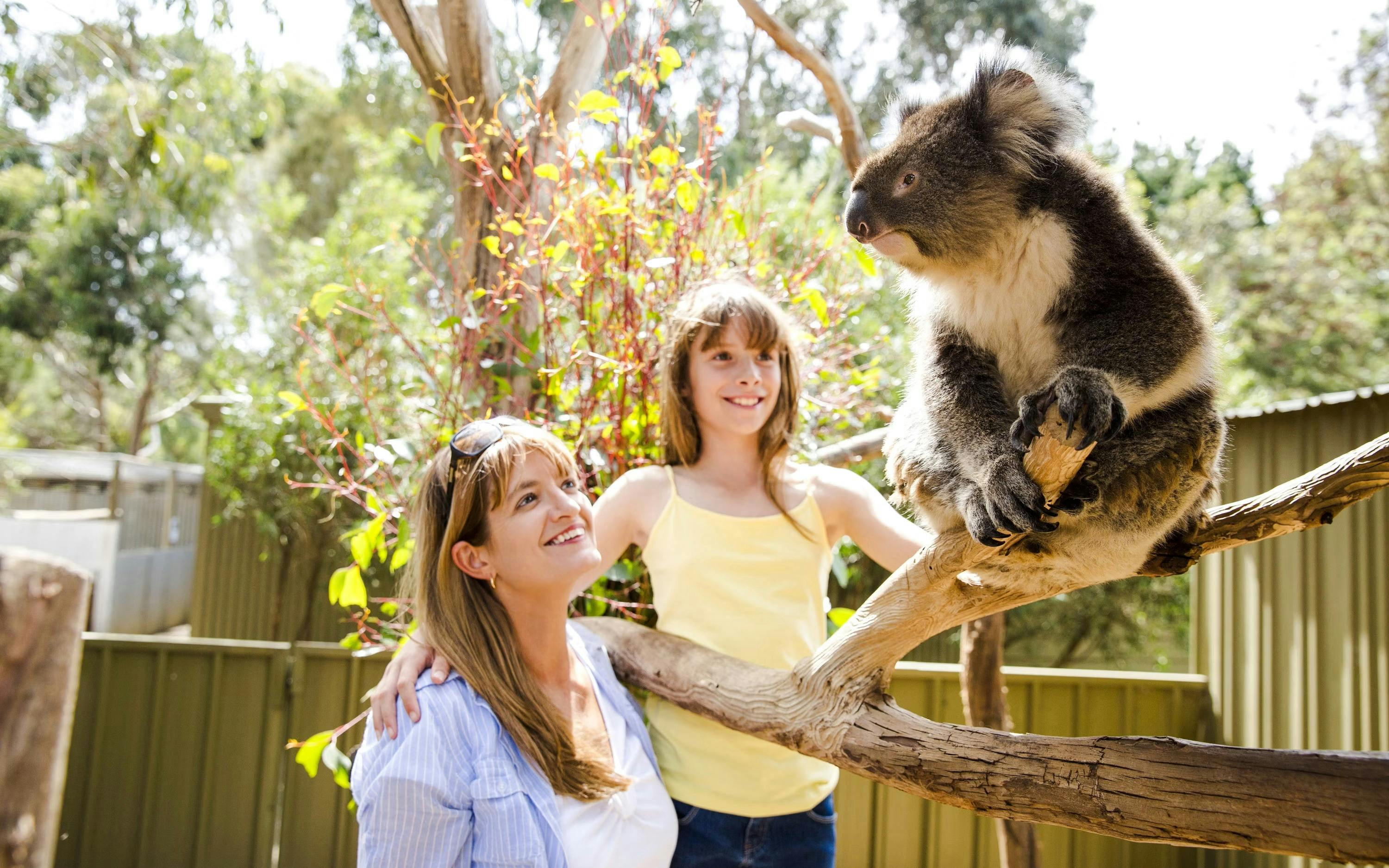 Kangaroo Island Experience Day Tour Category