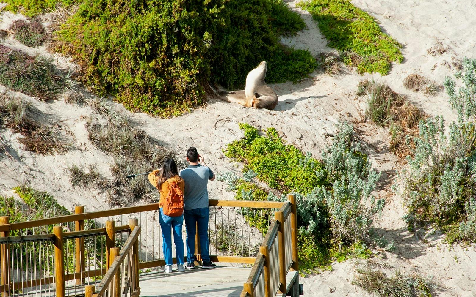 Kangaroo Island Experience Day Tour 