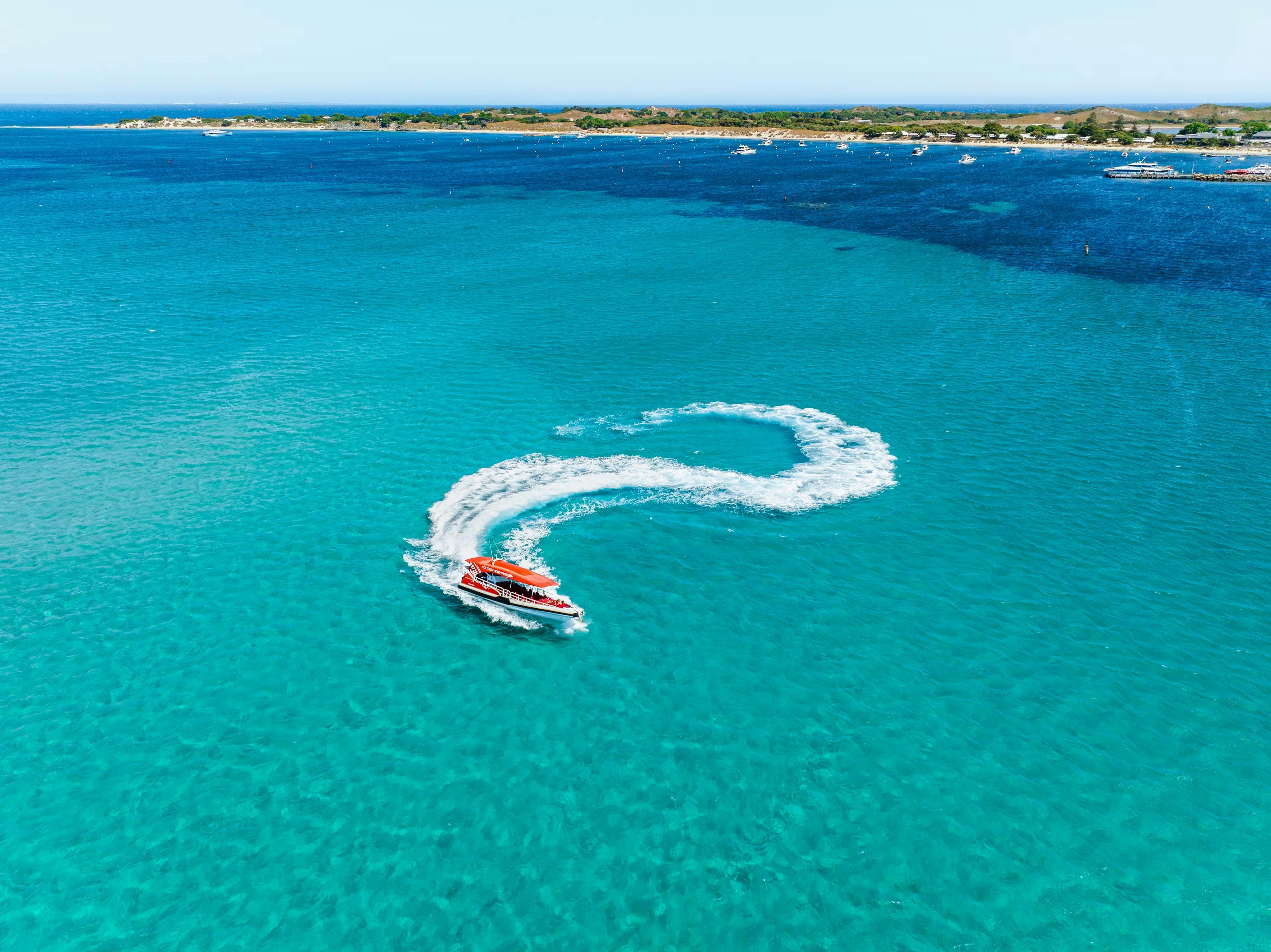 Rottnest Island Bus Tour with Express Ferry Ticket 