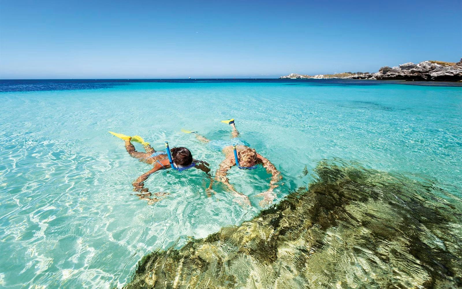 Rottnest Island Bus Tour with Express Ferry Ticket 