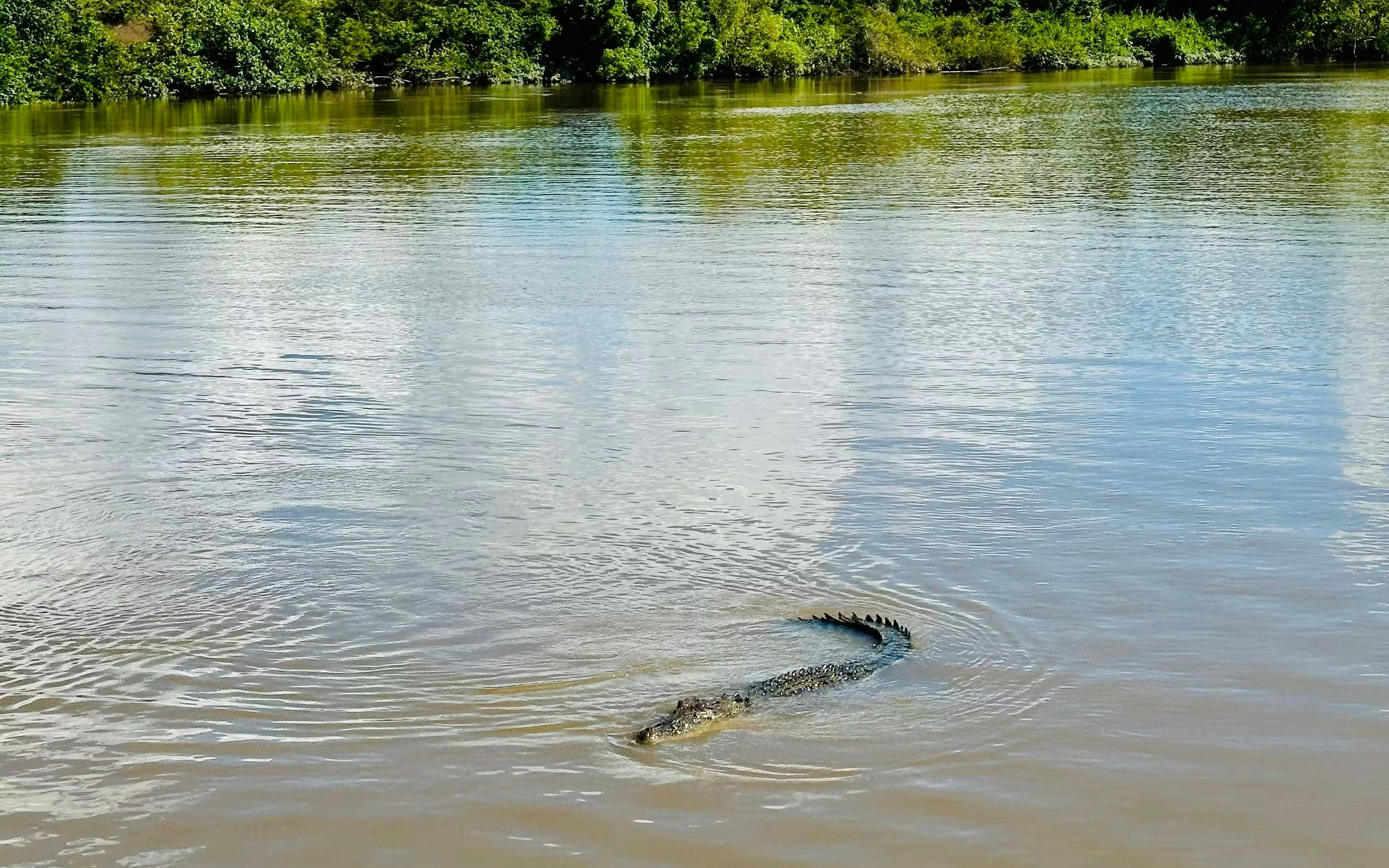 Spectacular Jumping Crocodile Cruise Ticket Location