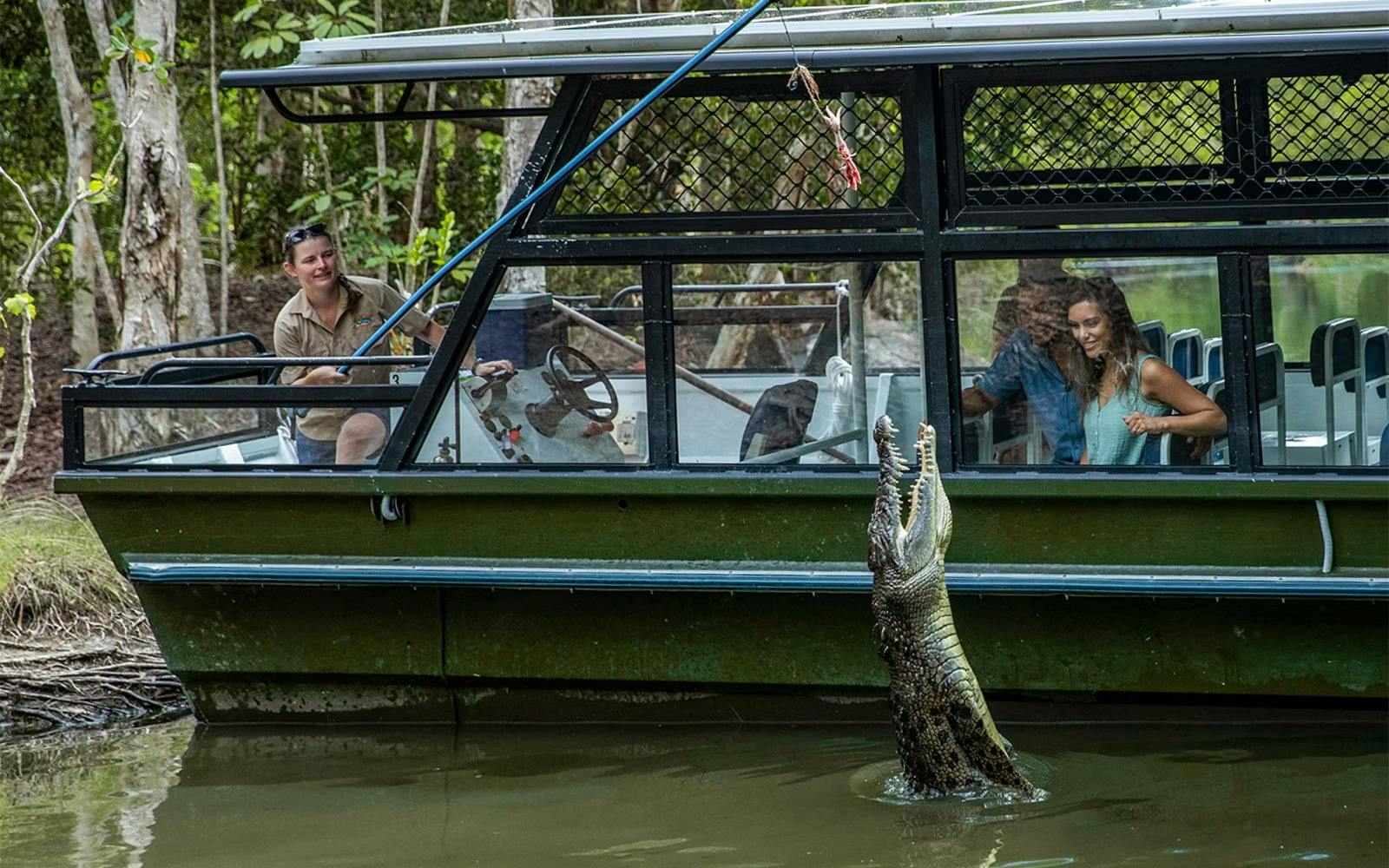 Spectacular Jumping Crocodile Cruise Ticket Discount