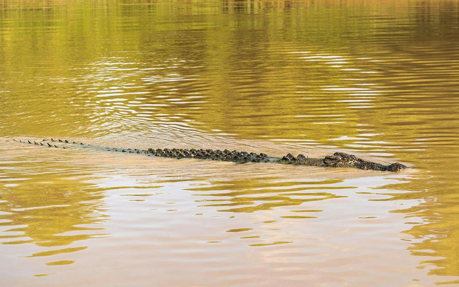 Kakadu National Park Day Tour from Darwin Review