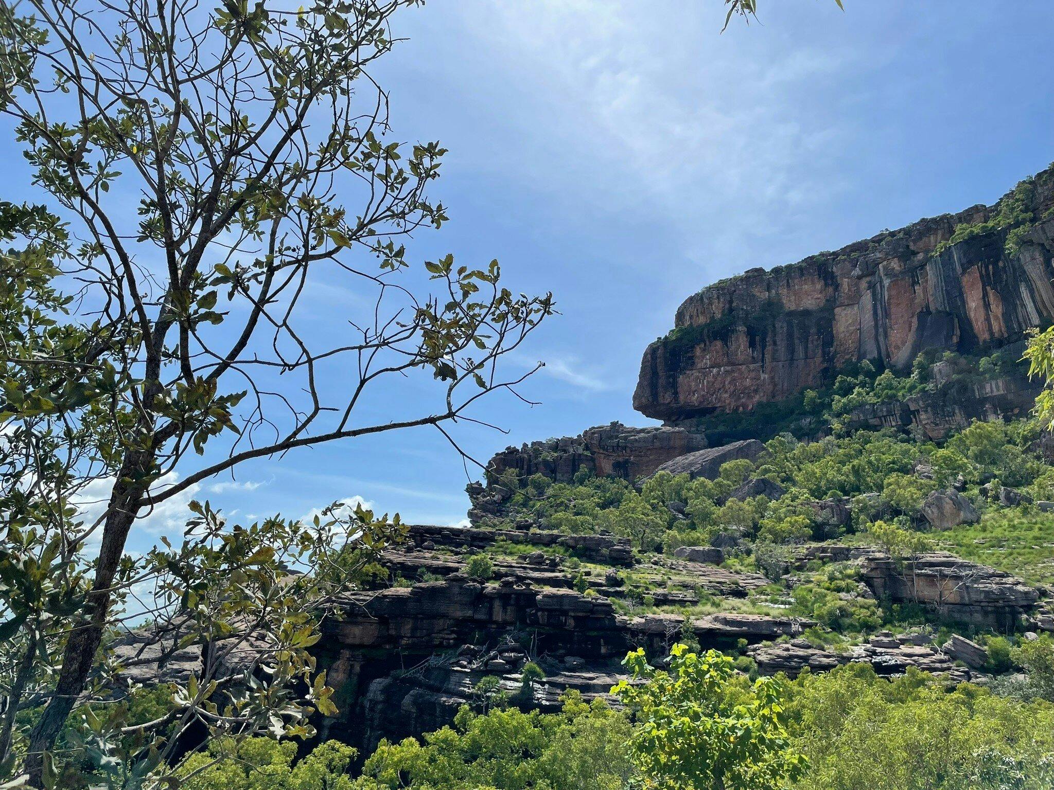 Kakadu National Park Day Tour from Darwin 